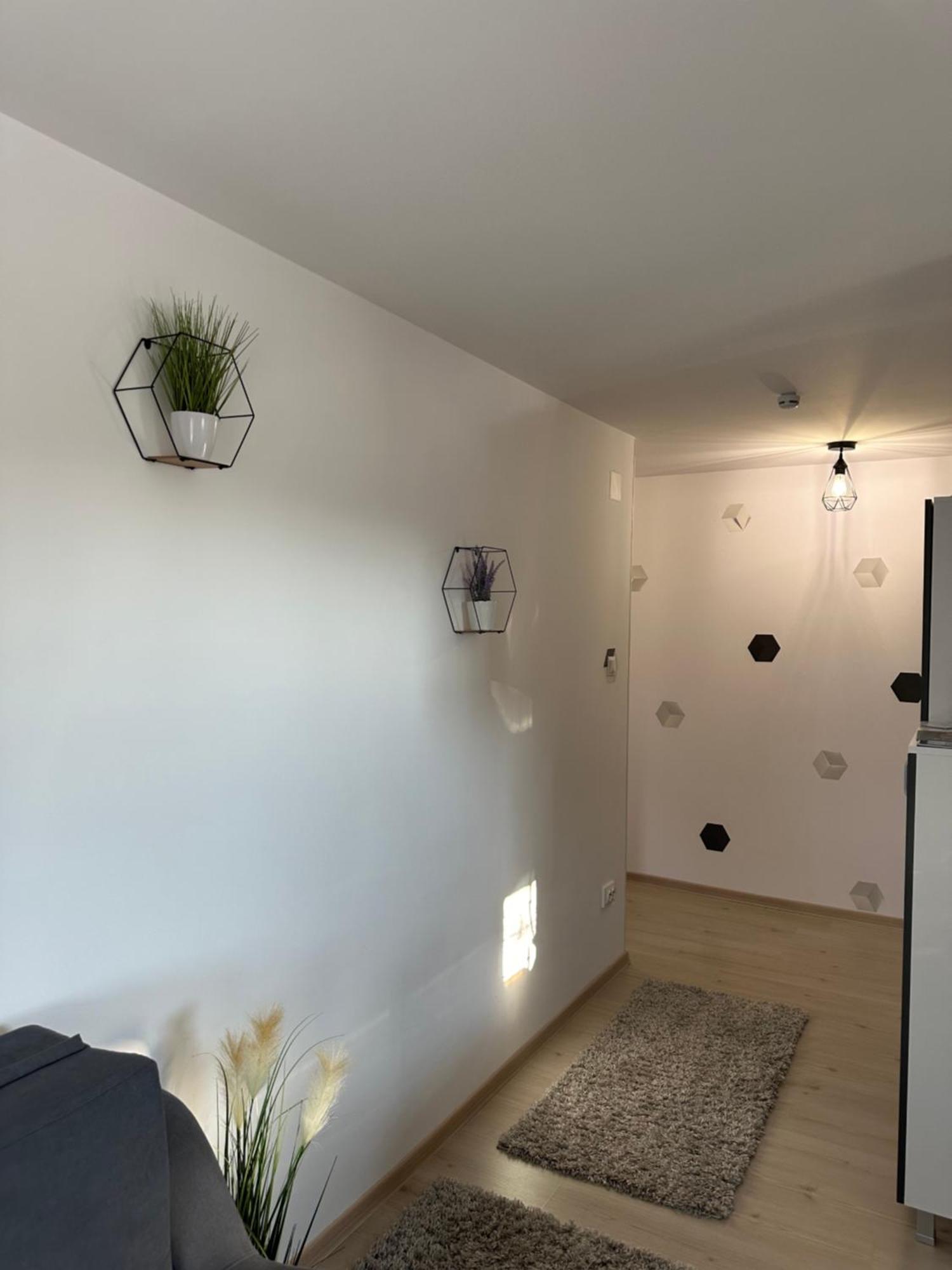Jokai Apartments Nr7, Code Entry Сфынту-Георге Экстерьер фото